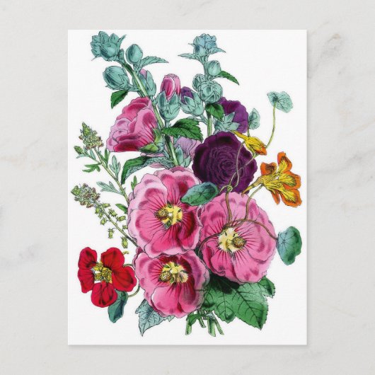 ヴィンテージ植物葵 ポストカード (正面)