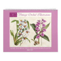 ヴィンテージ植物蘭イラスト2026