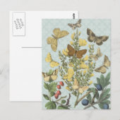 ヴィンテージ植物蝶…ポストカード ポストカード (正面/裏面)