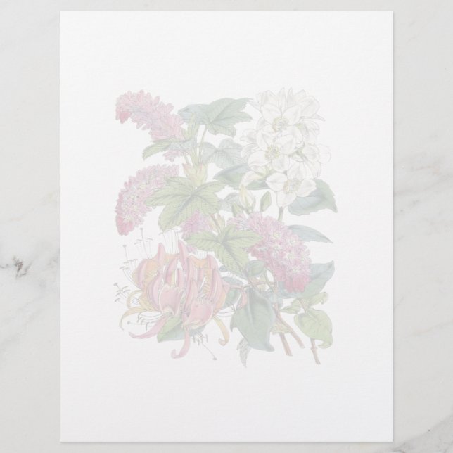 ヴィンテージ植物誌 (正面)