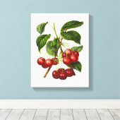 ヴィンテージ植物赤さくらんぼキャンバス印刷 キャンバスプリント (インサイチュ (ウッドフロア))