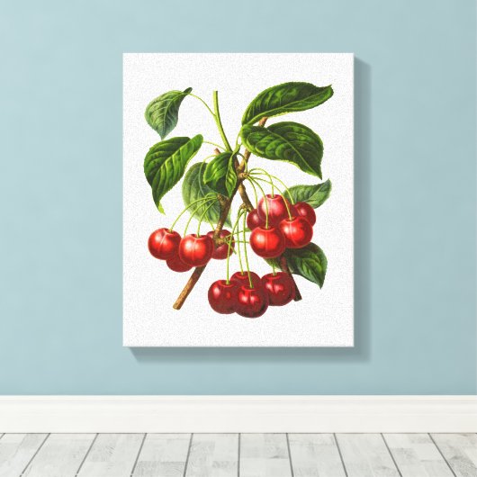 ヴィンテージ植物赤さくらんぼキャンバス印刷 キャンバスプリント (インサイチュ (ウッドフロア))