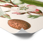 ヴィンテージ植物 ポスター (角)