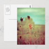 ヴィンテージ植物 ポストカード (正面/裏面)