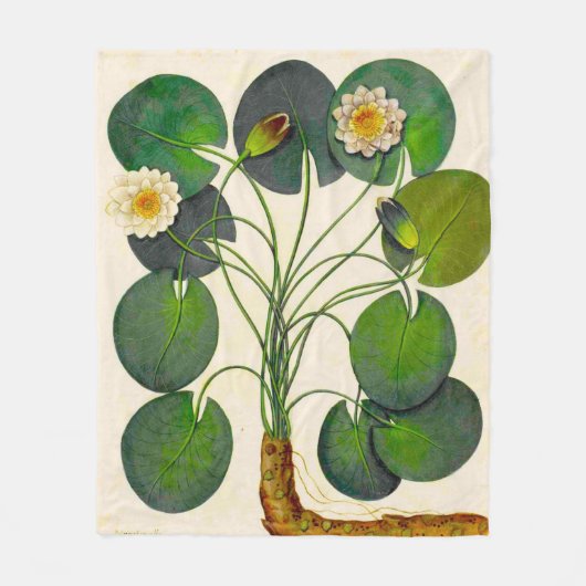 ヴィンテージ植物《植物》スイレンフリースブランケット フリースブランケット (正面)