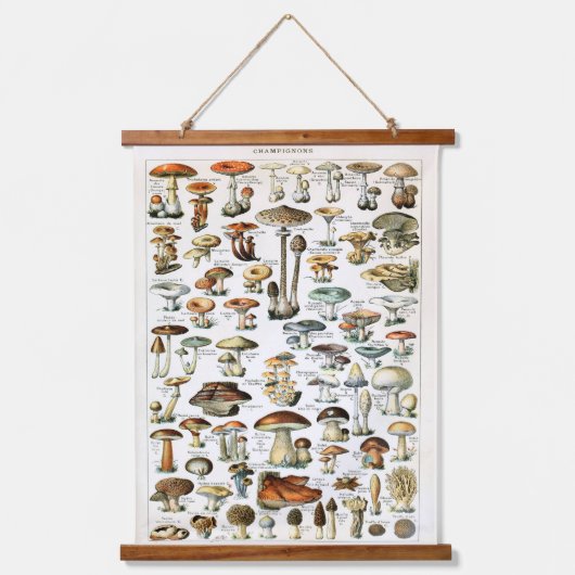 ヴィンテージ検体ぶら下がったパネル 吊り下げ型タペストリー (正面)