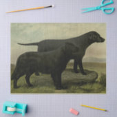 ヴィンテージ検索ティッシュペーパー 薄葉紙 (クラフト)