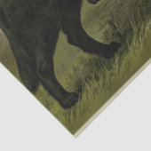 ヴィンテージ検索ティッシュペーパー 薄葉紙 (詳細)