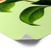 ヴィンテージ椿フラワー#2 ポスター (角)