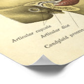 ヴィンテージ構造プリントボーンTMJジョイント ポスター (角)