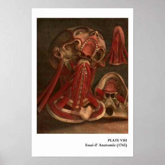 ヴィンテージ構造 |ネックと顔 ポスター (正面)