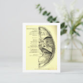 ヴィンテージ構造 |内部サーフェスのスカルベース ポストカード (スタンド正面)