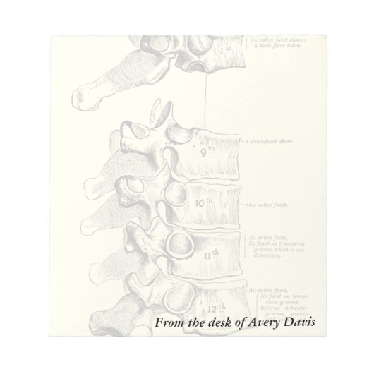 ヴィンテージ構造 |椎骨 ノートパッド (正面)