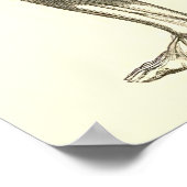 ヴィンテージ構造 |脚の筋肉II ポスター (角)