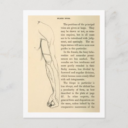 ヴィンテージ構造 |腕の静脈(1852年頃) ポストカード (正面)