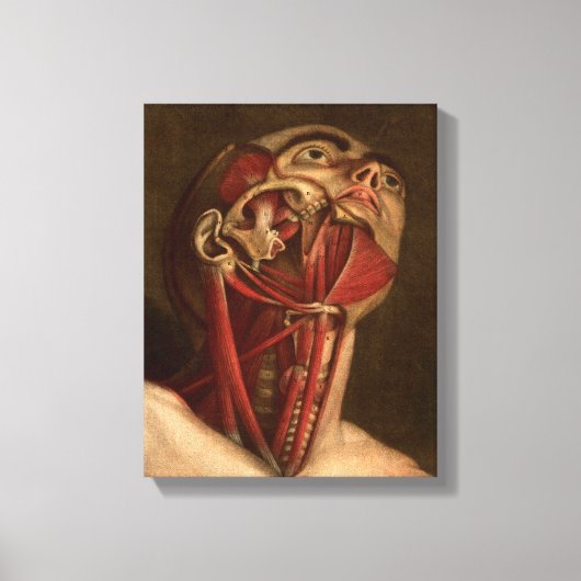 ヴィンテージ構造 |頭と首 キャンバスプリント (正面)