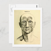 ヴィンテージ構造 |顔の筋肉(1852年頃) ポストカード (正面/裏面)