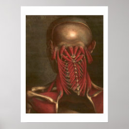 ヴィンテージ構造 |首と肩 ポスター