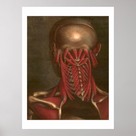 ヴィンテージ構造 |首と肩 ポスター (正面)