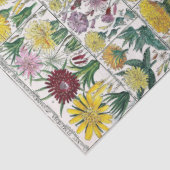 ヴィンテージ様式の花の植物図鑑ブックプレート #48 薄葉紙 (詳細)
