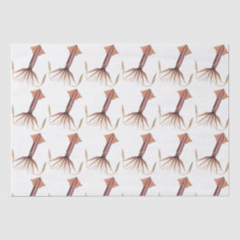 ヴィンテージ様式化イカスケッチ#1 薄葉紙