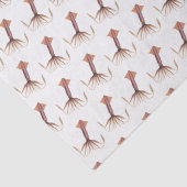 ヴィンテージ様式化イカスケッチ#1 薄葉紙 (詳細)