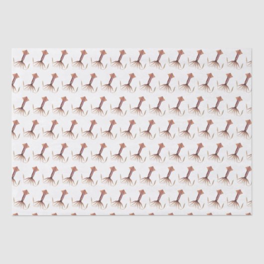 ヴィンテージ様式化イカスケッチ#1 薄葉紙 (正面)