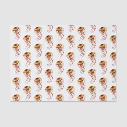 ヴィンテージ様式化クラゲスケッチ#1 薄葉紙 (正面)