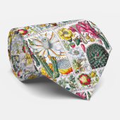ヴィンテージ様式化サボテン植物本プレート#32 ネクタイ (ロール)