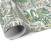 ヴィンテージ様式化ファズボタニカルブックプレート#60 ラッピングペーパー (ロールコーナー)