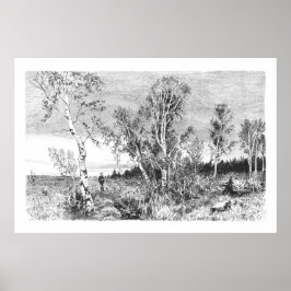 ヴィンテージ樺の木ツリー1800sアンティーク ポスター