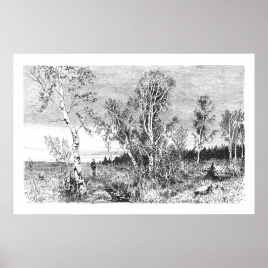 ヴィンテージ樺の木ツリー1800sアンティーク ポスター (正面)