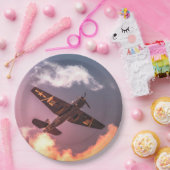 ヴィンテージ機美しい空 ペーパープレート (パーティー)