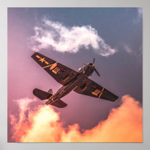 ヴィンテージ機美しい空 ポスター