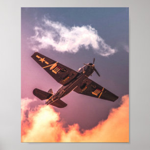 ヴィンテージ機美しい空 ポスター