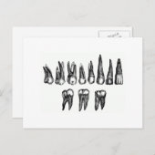 ヴィンテージ歯 ポストカード (正面/裏面)