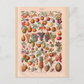 ヴィンテージ歴史的な果物 ポストカード (正面)