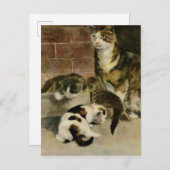 ヴィンテージ母猫と子猫 案内ポストカード (正面/裏面)