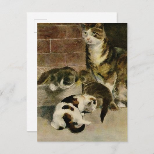ヴィンテージ母猫と子猫 案内ポストカード (正面/裏面)