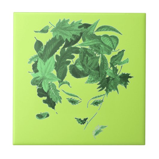 ヴィンテージ母自然 タイル (正面)