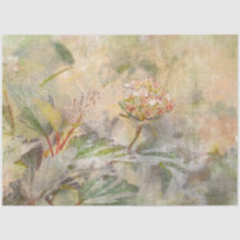 ヴィンテージ水の色の牡丹フローラの分離