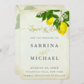 ヴィンテージ水の色レモン日付を保存 セーブザデート (正面/裏面)