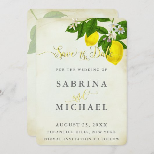 ヴィンテージ水の色レモン日付を保存 セーブザデート (正面/裏面)