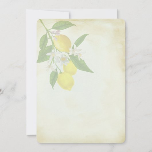 ヴィンテージ水の色レモン日付を保存 セーブザデート (裏面)