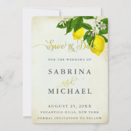 ヴィンテージ水の色レモン日付を保存 セーブザデート