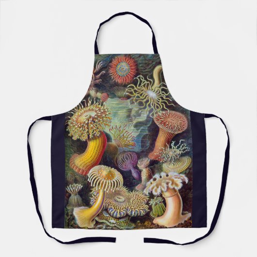 ヴィンテージ水中シーアネモネズバイエルンストハエッケル エプロン (正面)
