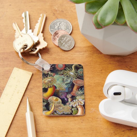 ヴィンテージ水中シーアネモネズバイエルンストハエッケル キーホルダー (デスク)