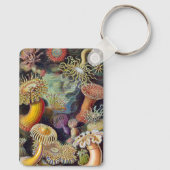 ヴィンテージ水中シーアネモネズバイエルンストハエッケル キーホルダー (裏面)