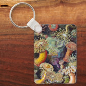 ヴィンテージ水中シーアネモネズバイエルンストハエッケル キーホルダー (正面)