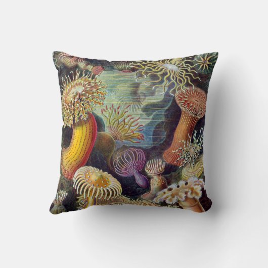 ヴィンテージ水中シーアネモネズバイエルンストハエッケル クッション (裏面)